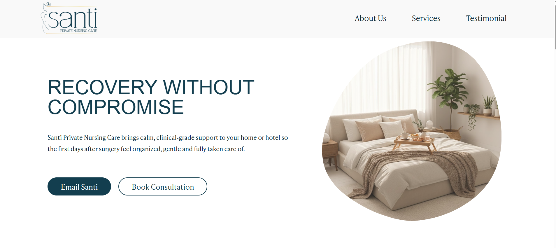 Santi Private Nursing Care website